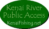 Kenai Fishing