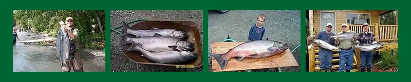 Kenaifishing 1 800×160